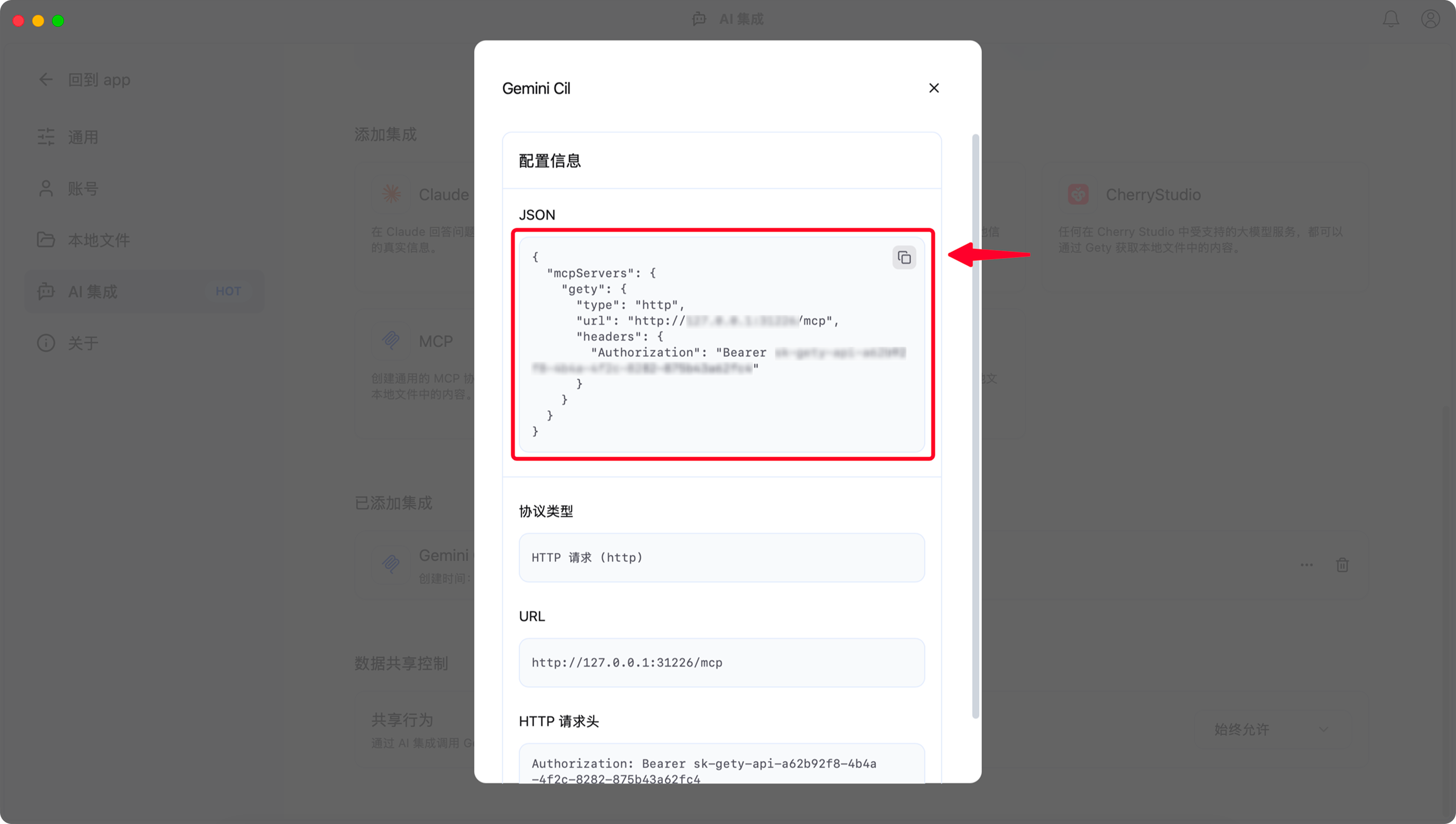 查看配置对话框，显示 JSON 配置和复制按钮